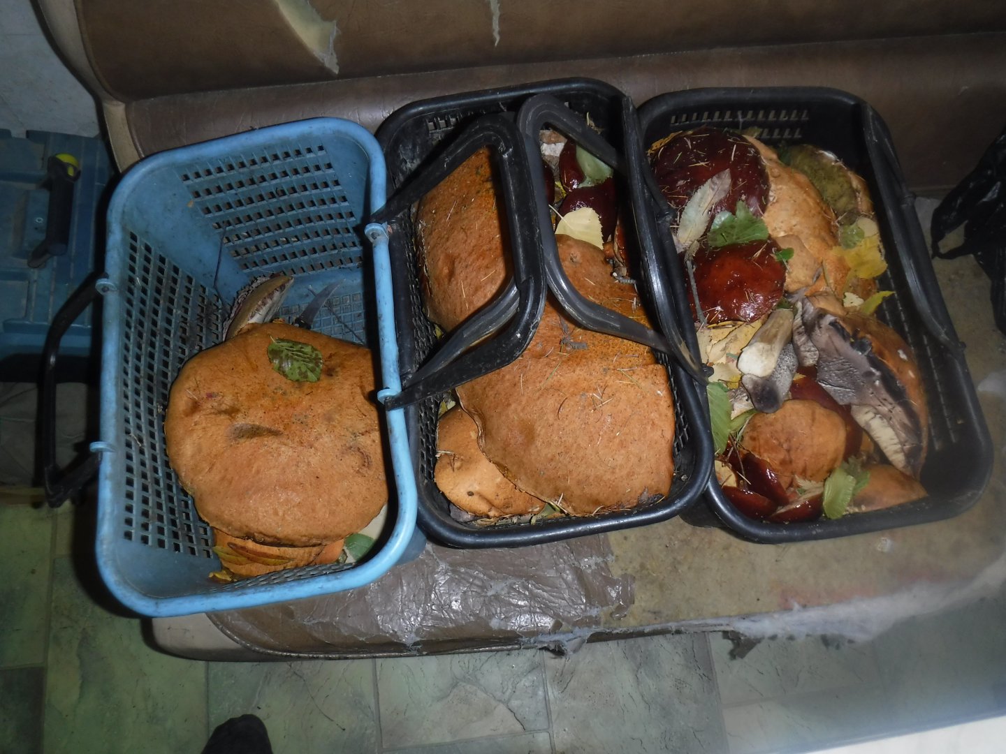 DSCF0616.JPG