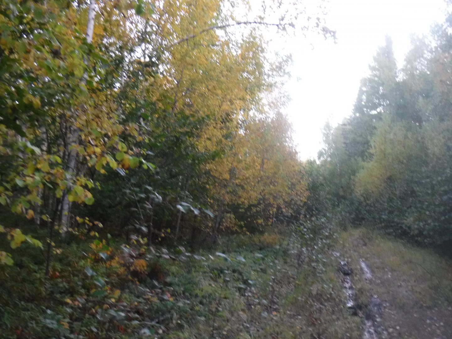 DSCF0618.JPG