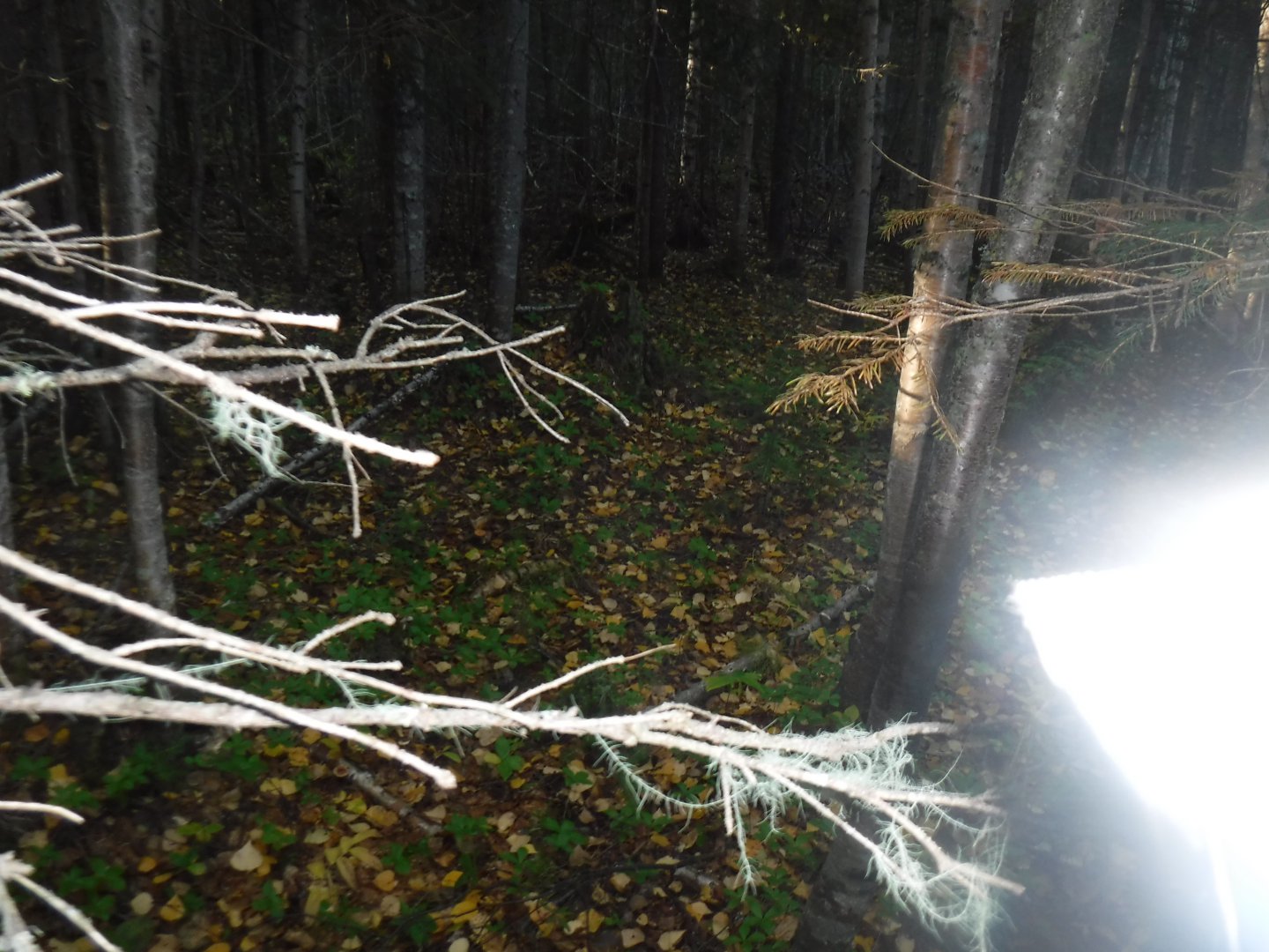 DSCF0625.JPG
