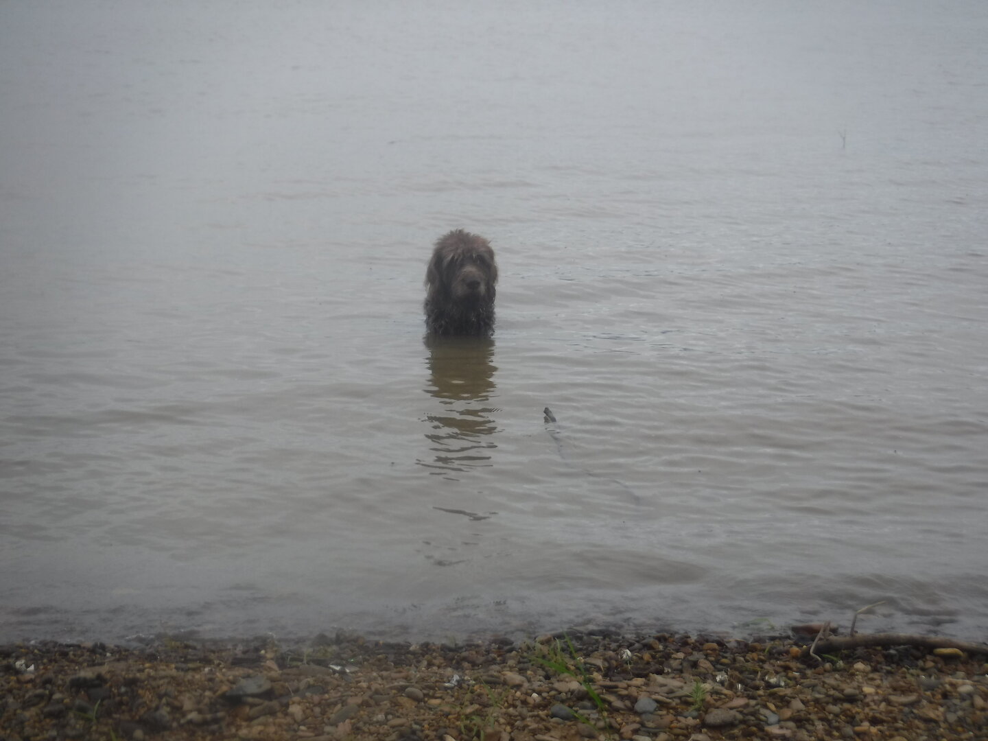 DSCF0630.JPG