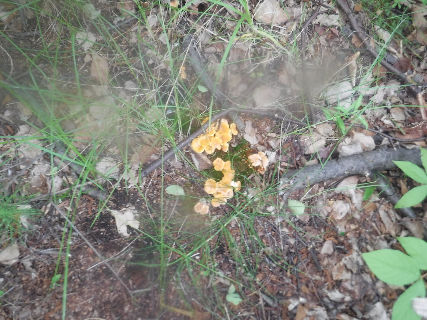 DSCF0632.JPG