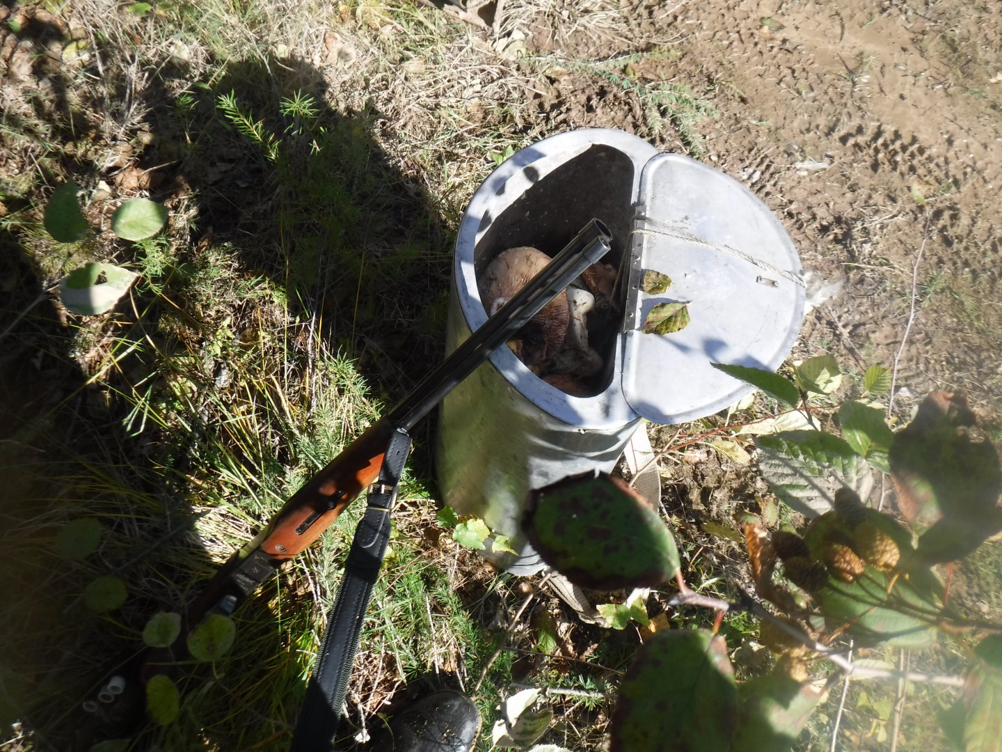 DSCF0633.JPG