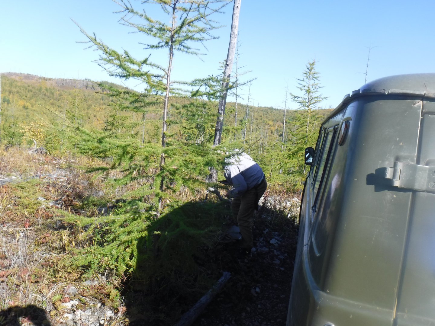 DSCF0639.JPG