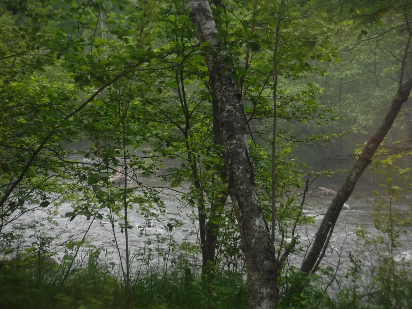 DSCF0642.JPG