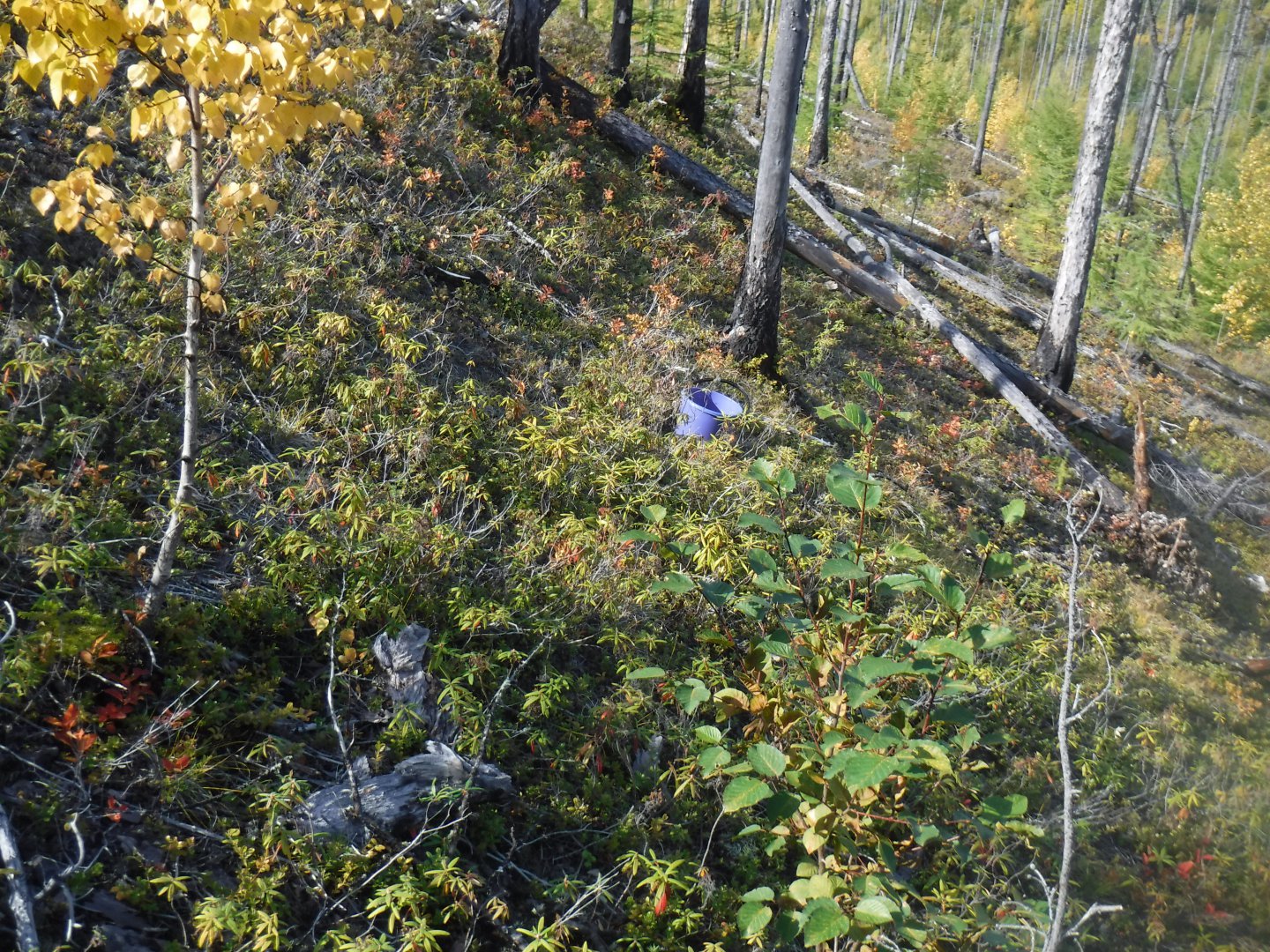 DSCF0647.JPG