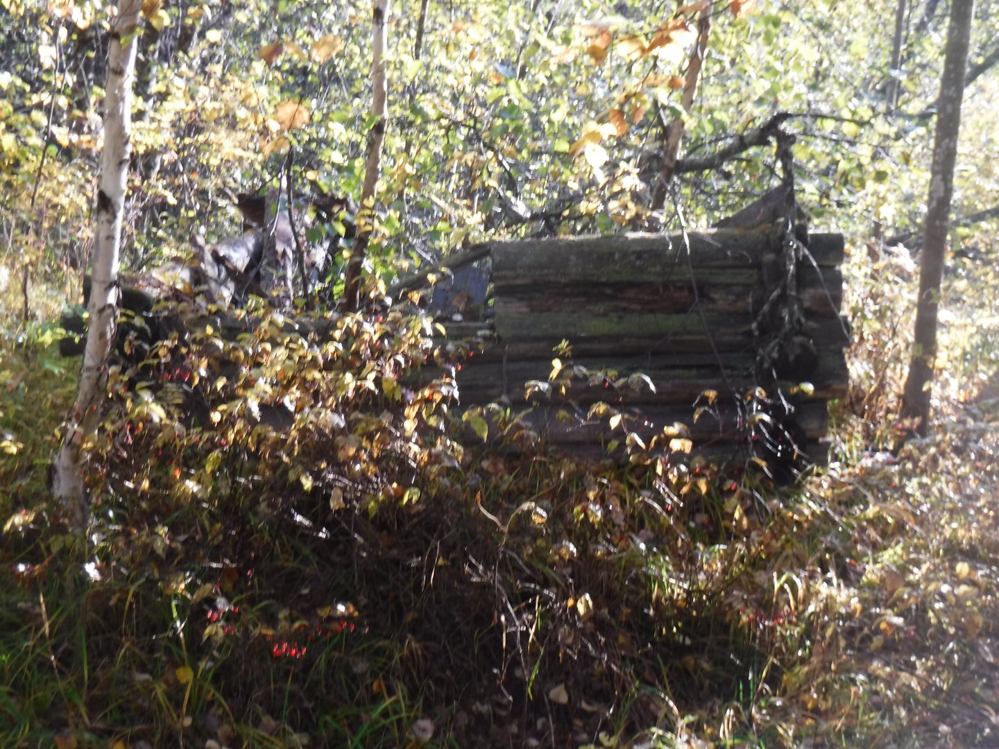 DSCF0694.JPG