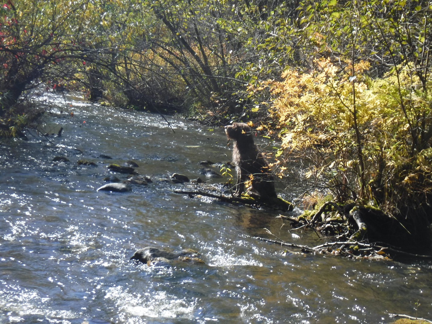 DSCF0699.JPG