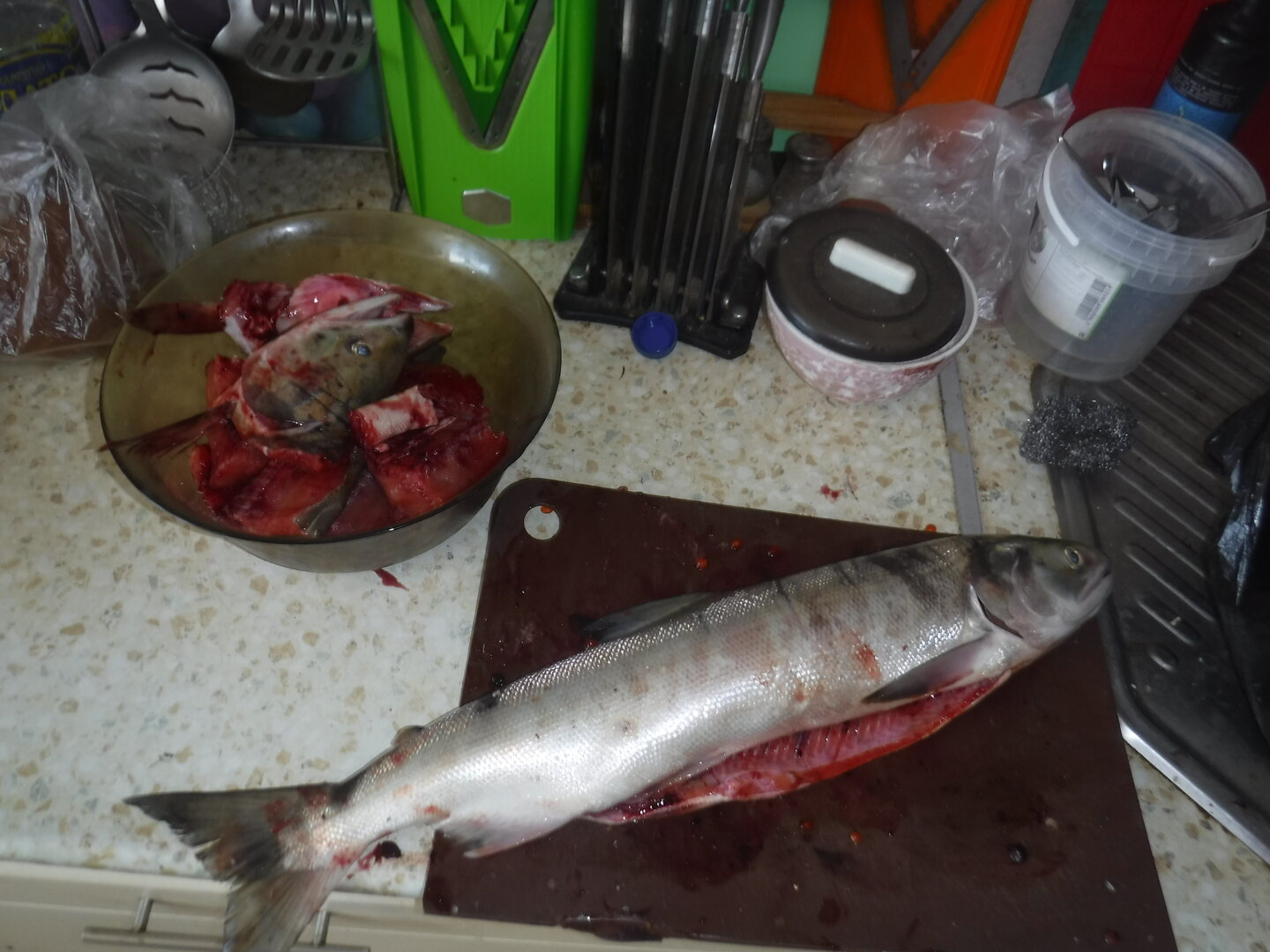DSCF0717.JPG