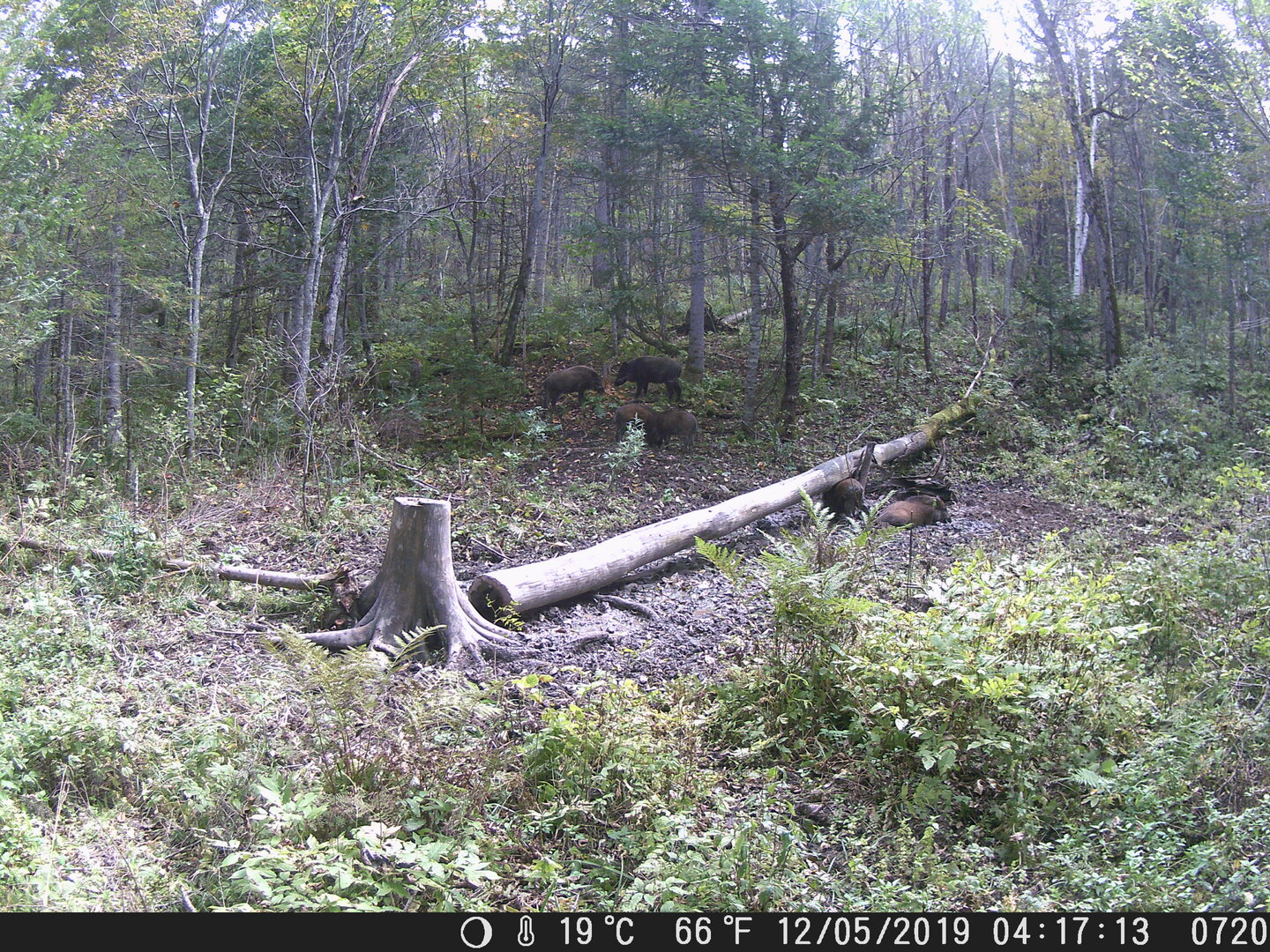 DSCF0720.JPG