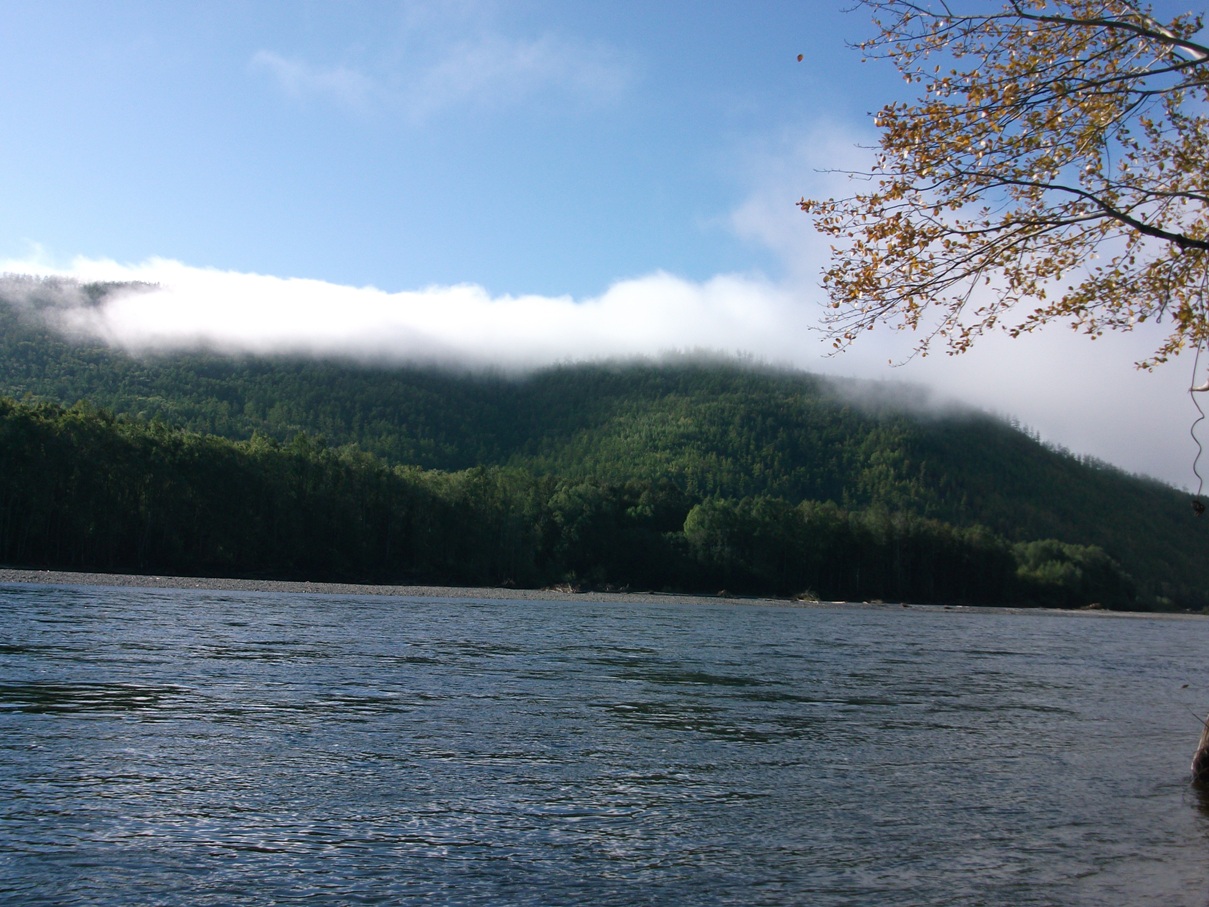 DSCF0733.jpg