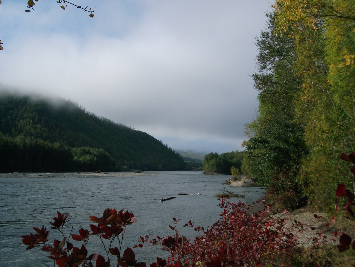 DSCF0735.jpg