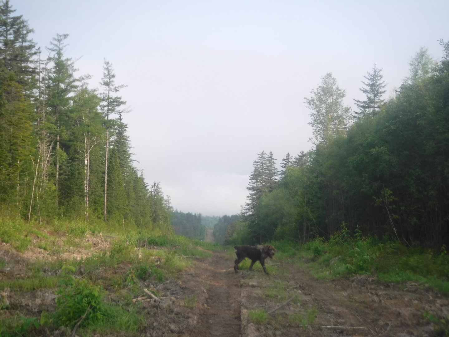 DSCF0809.JPG
