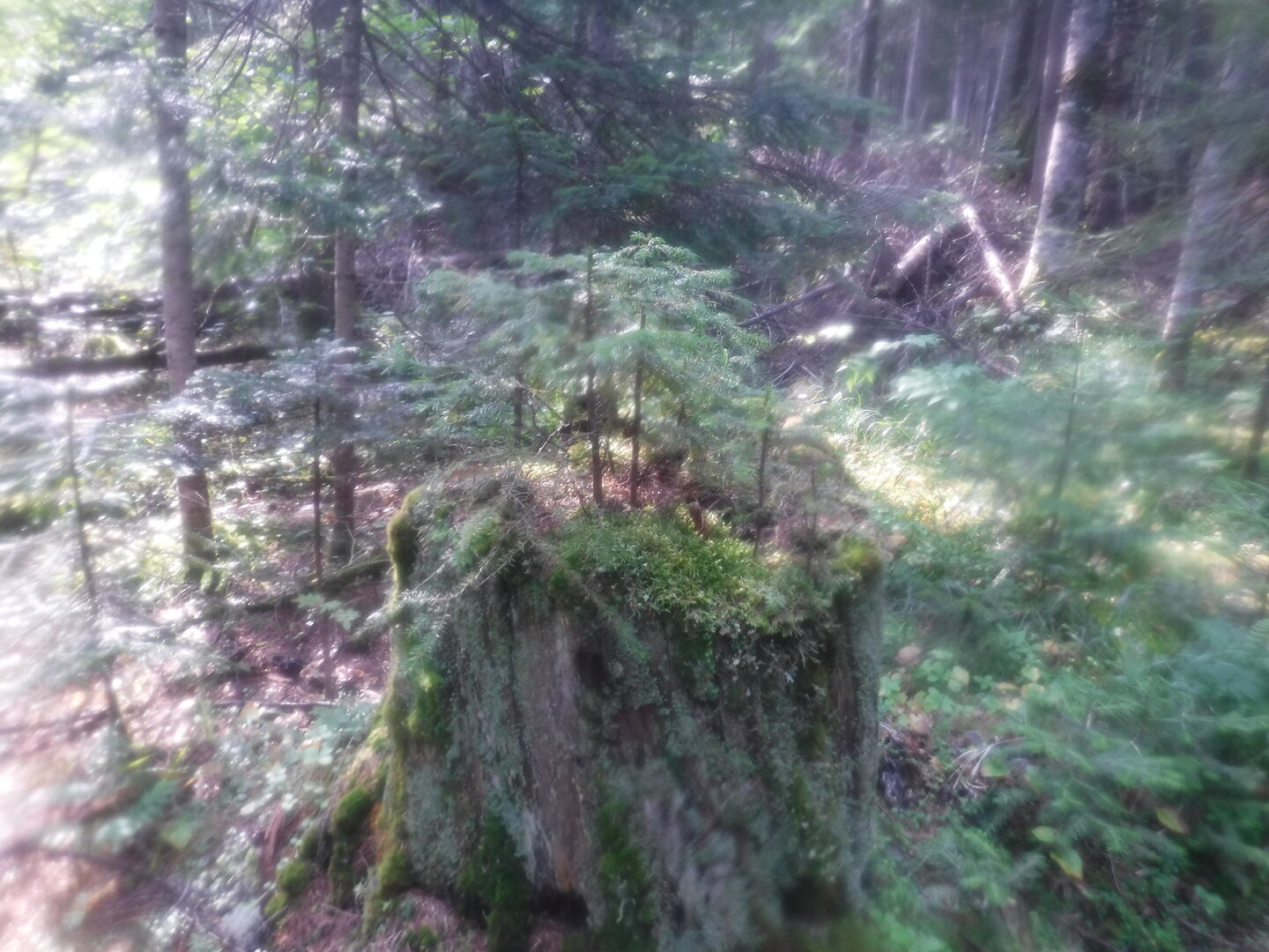 DSCF0816.JPG