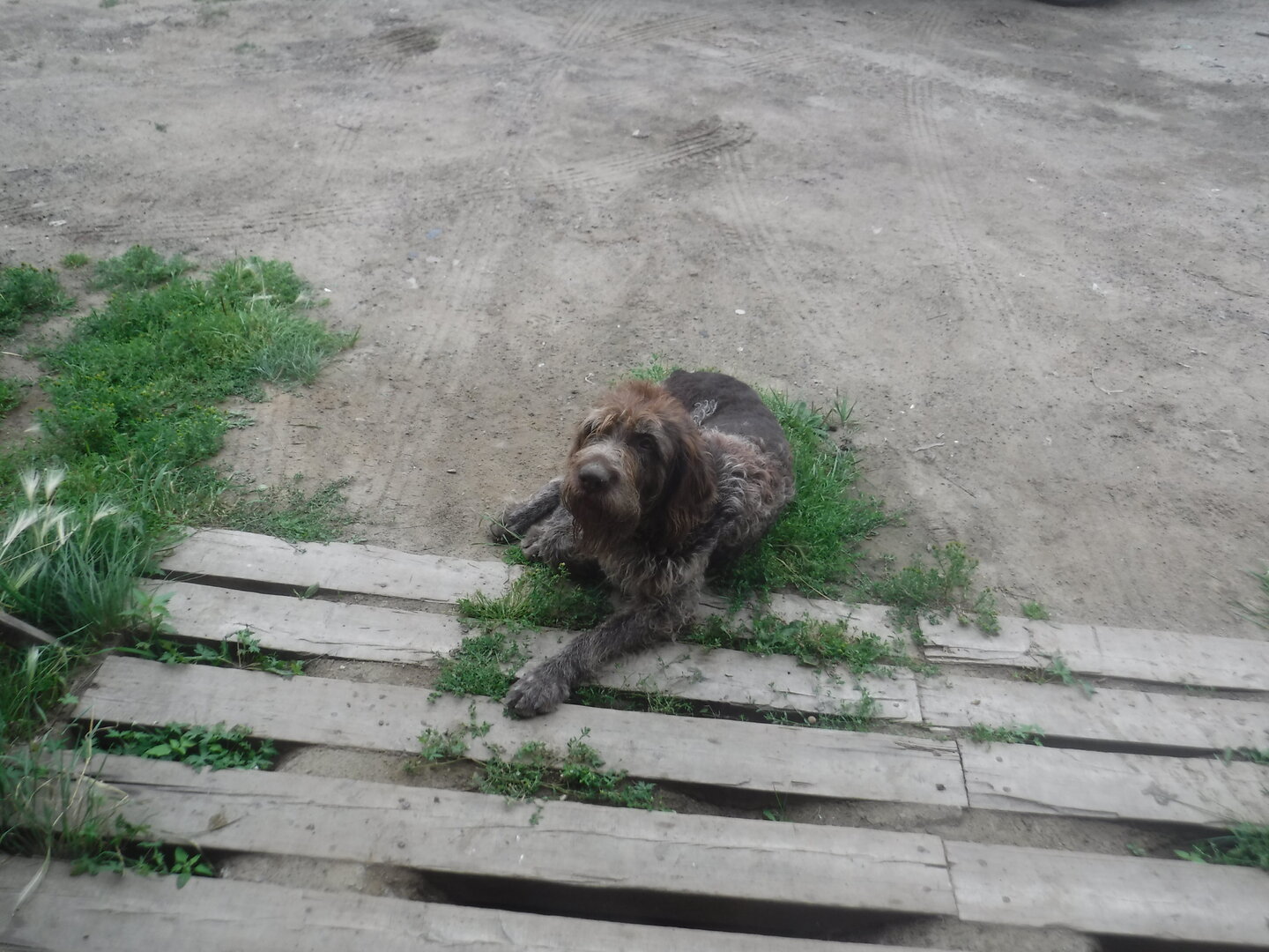 DSCF0833.JPG