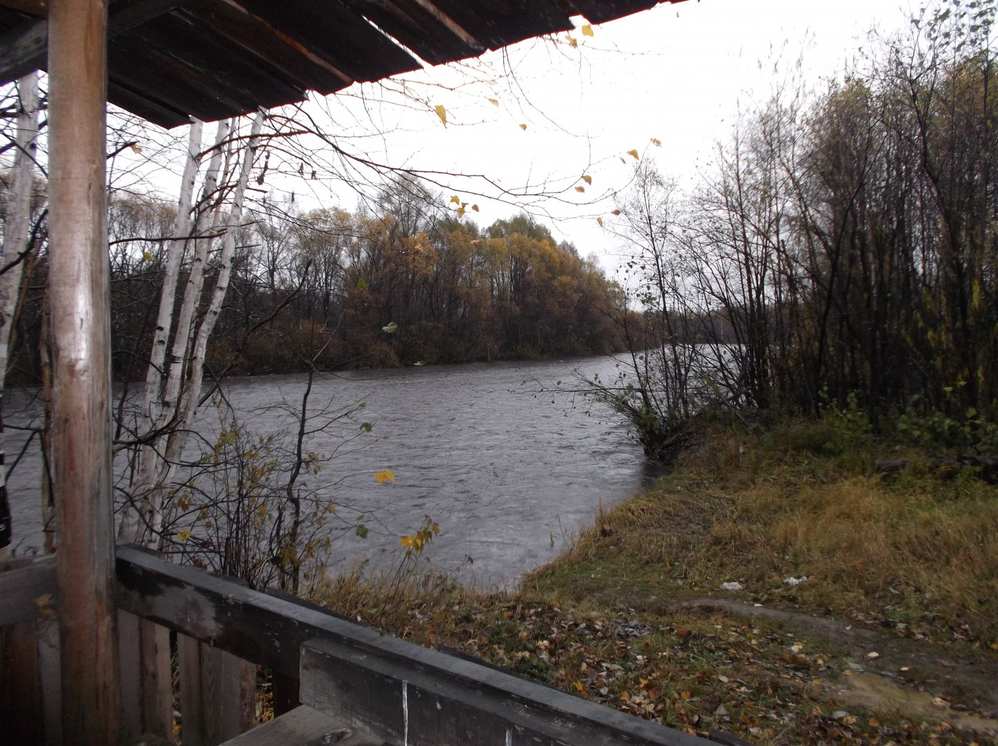 DSCF0979.JPG