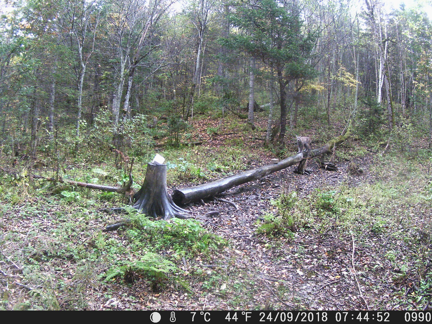 DSCF0990.JPG