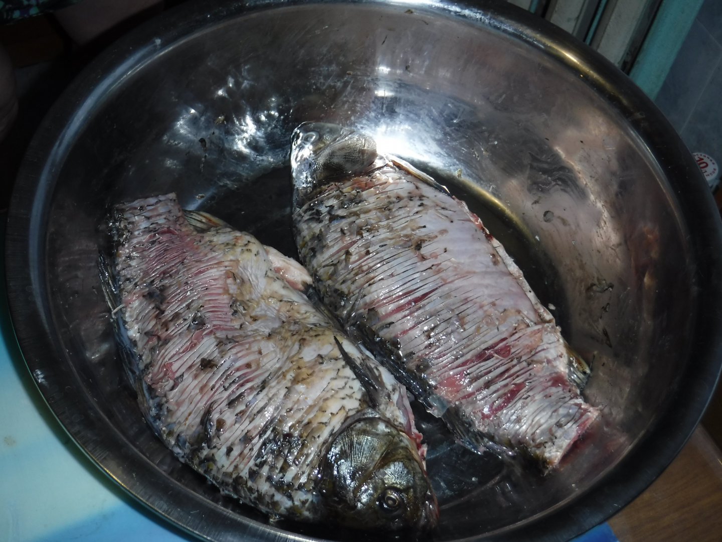 DSCF1006.JPG