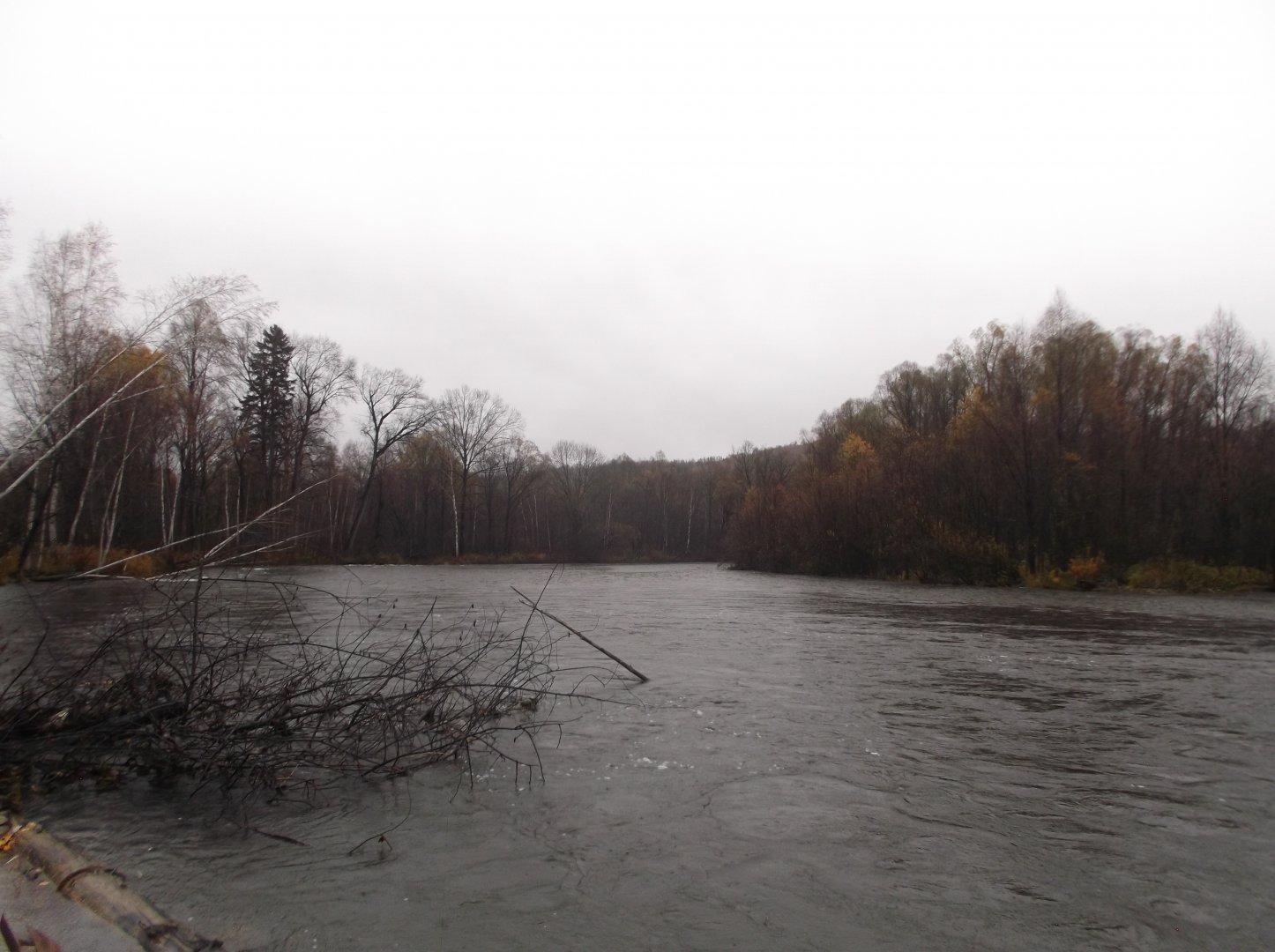 DSCF1009.JPG
