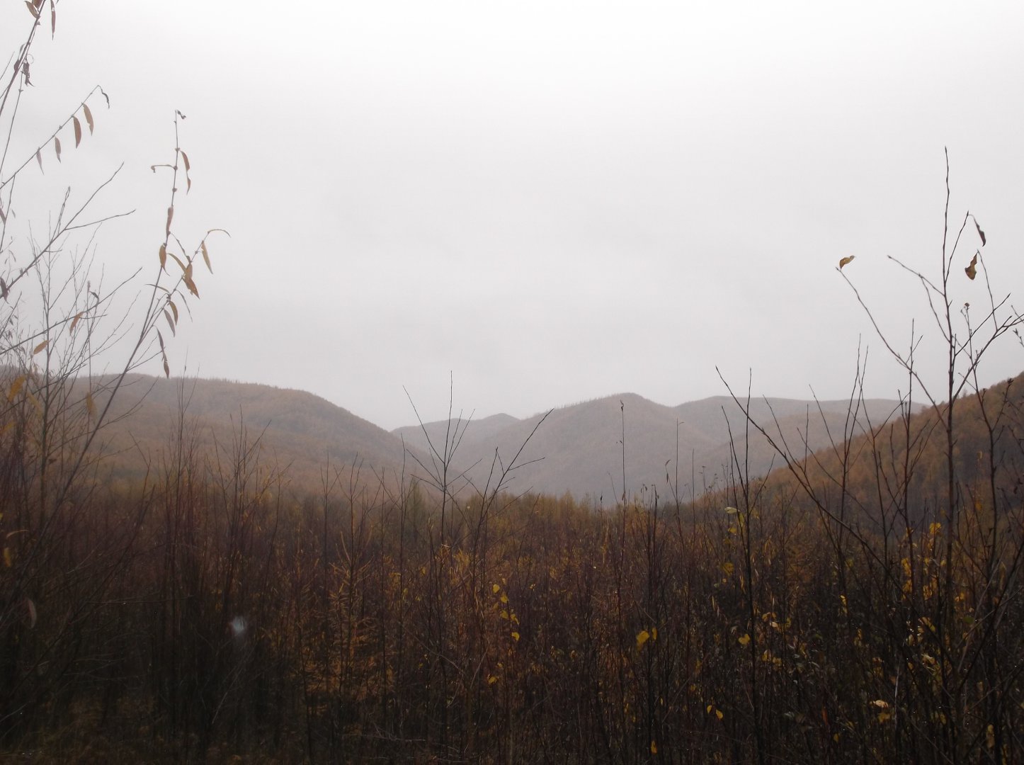 DSCF1018.JPG