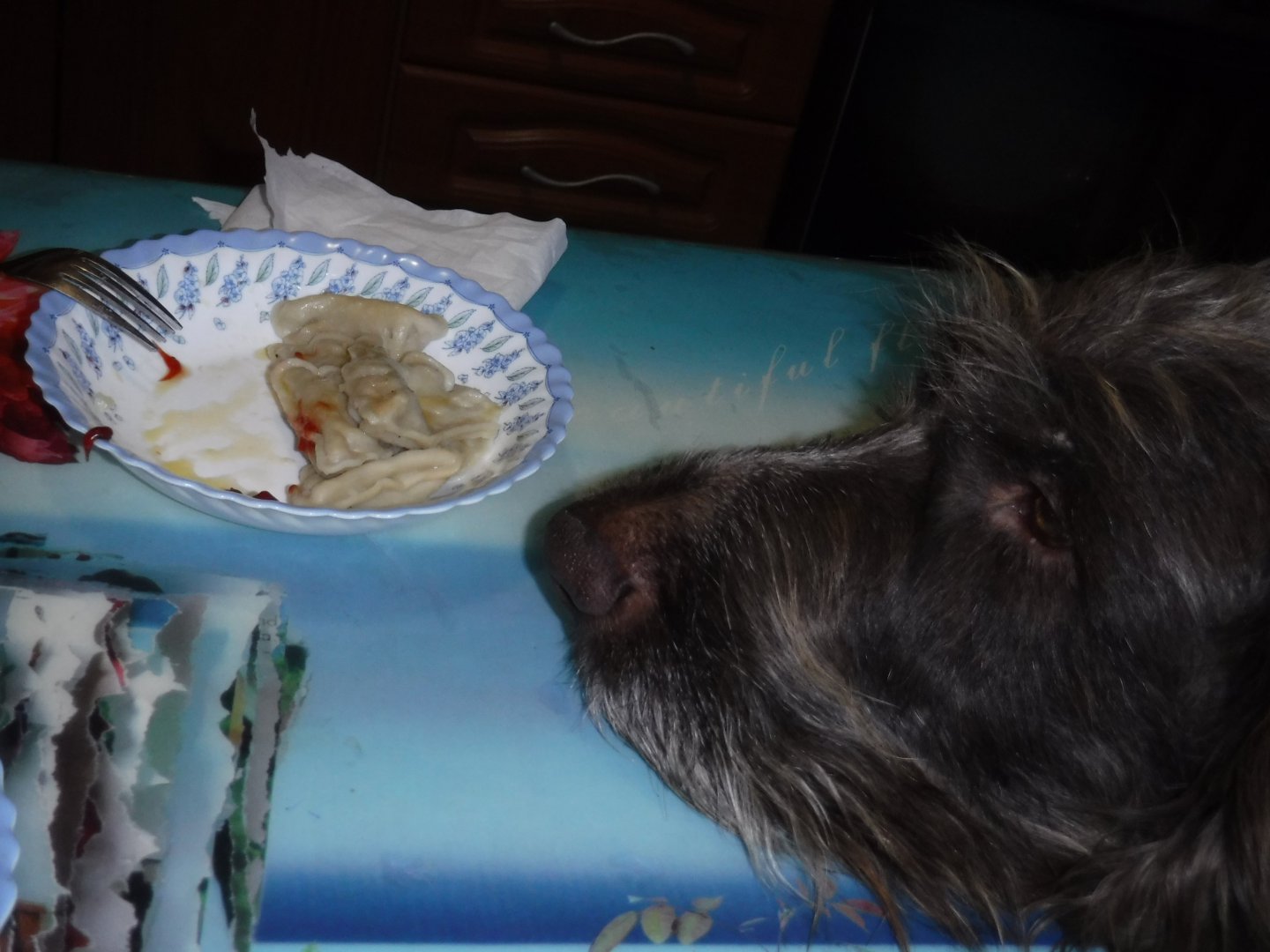DSCF1031.JPG
