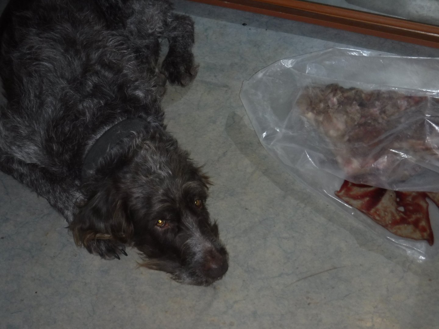 DSCF1033.JPG