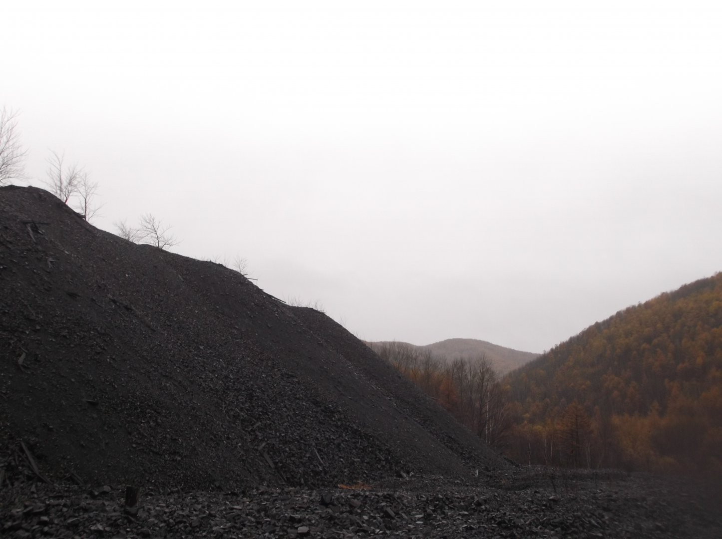 DSCF1053.JPG