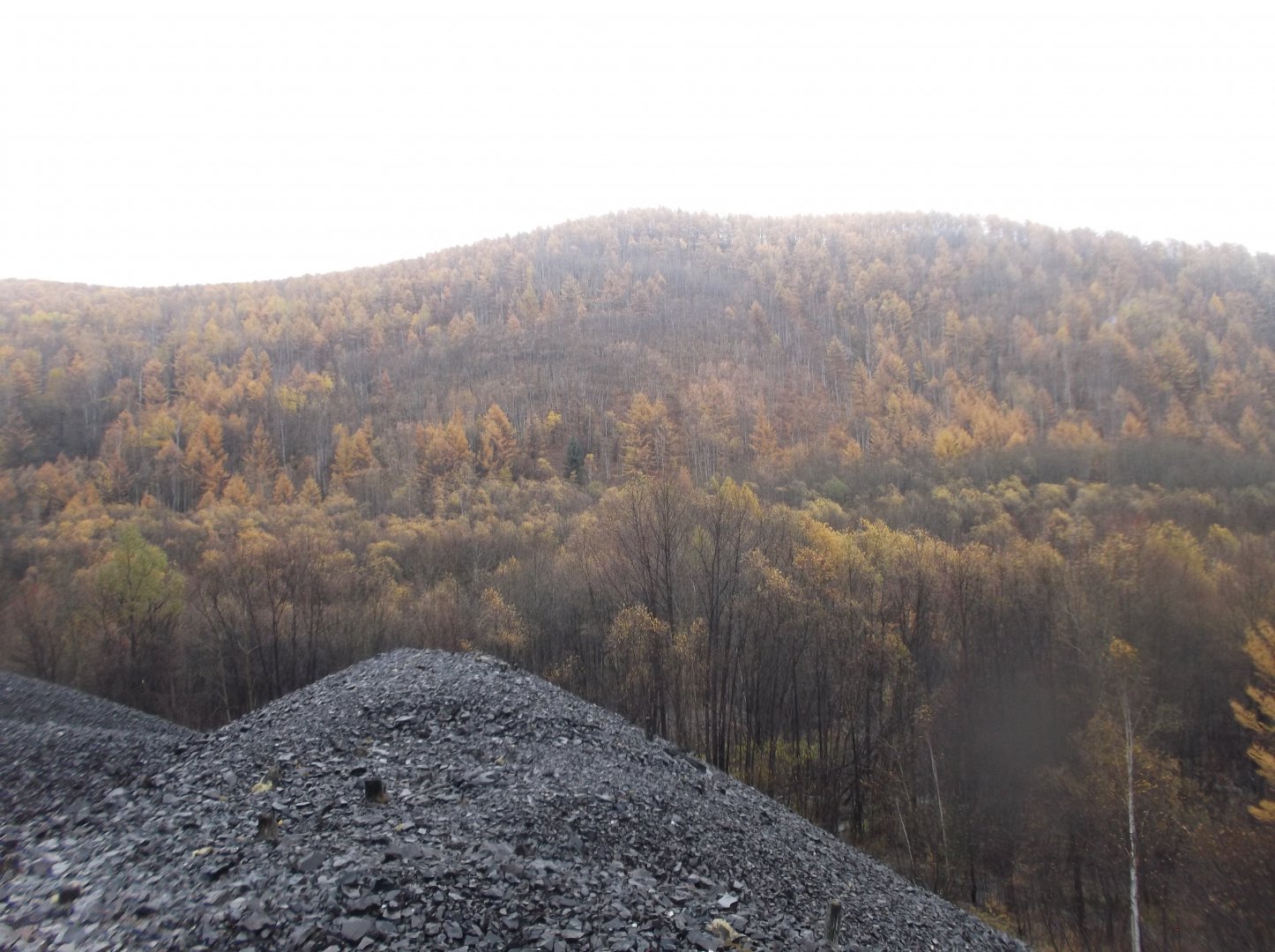 DSCF1058.JPG