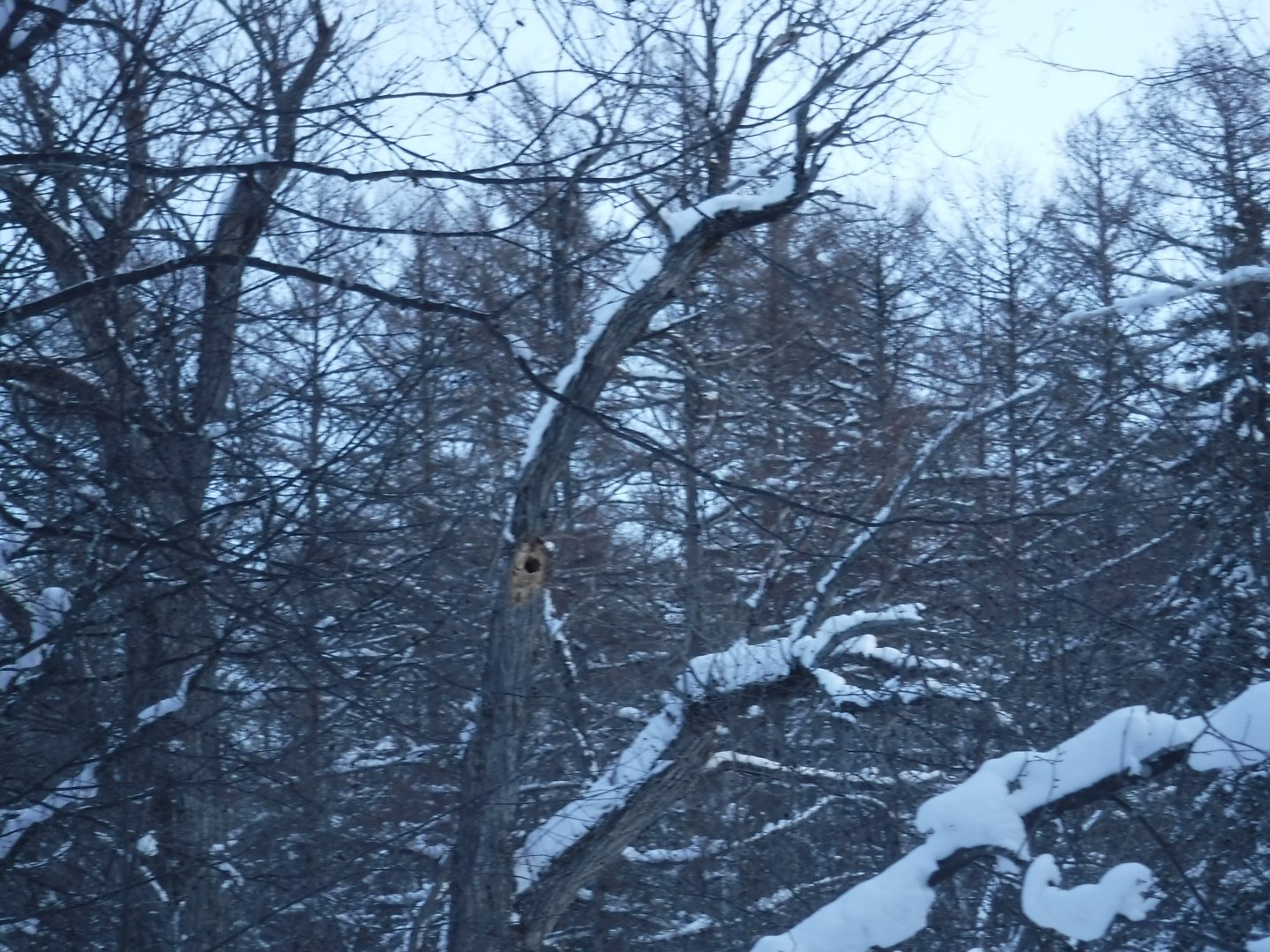 DSCF1063.JPG