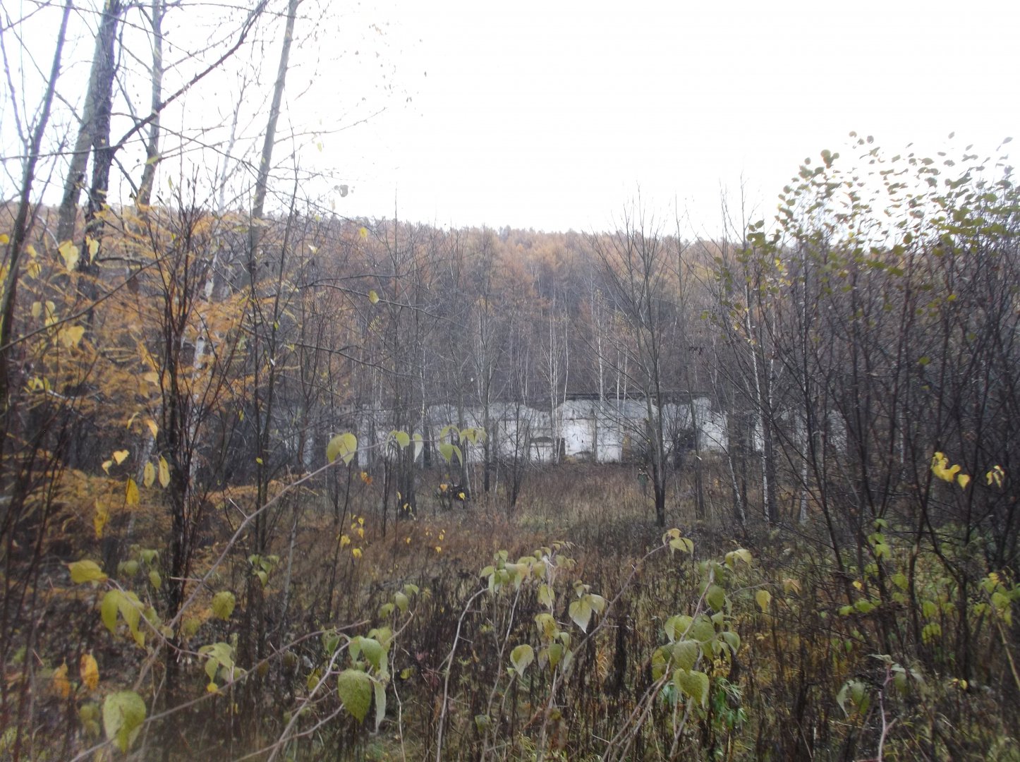 DSCF1064.JPG