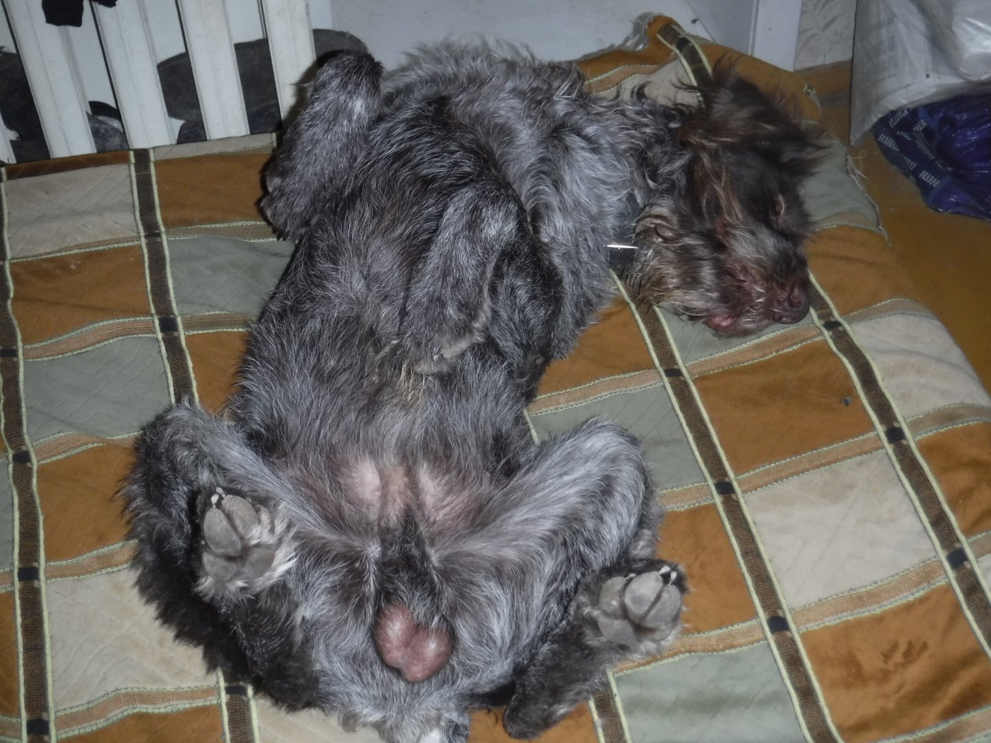 DSCF1072.JPG