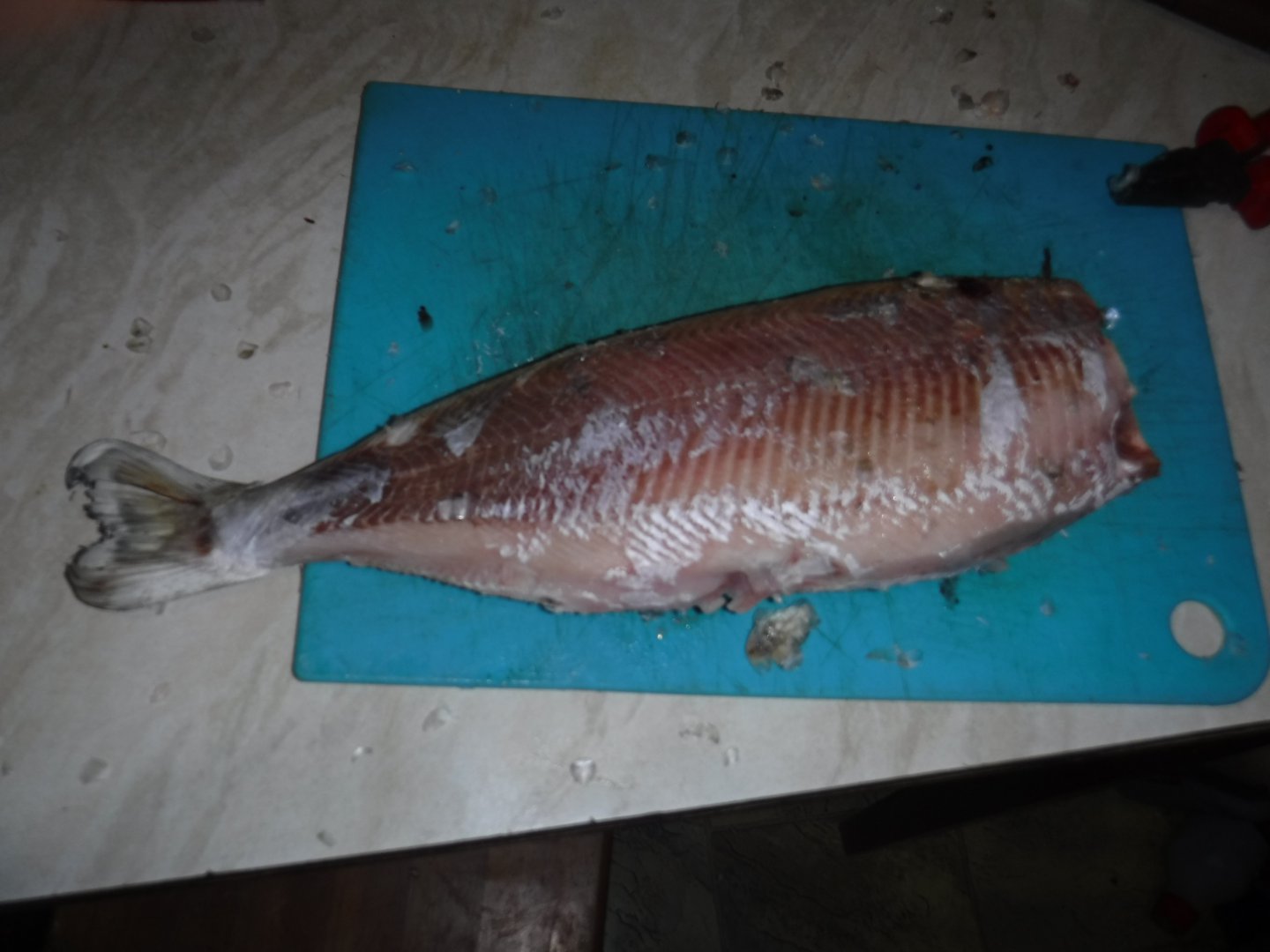 DSCF1089.JPG