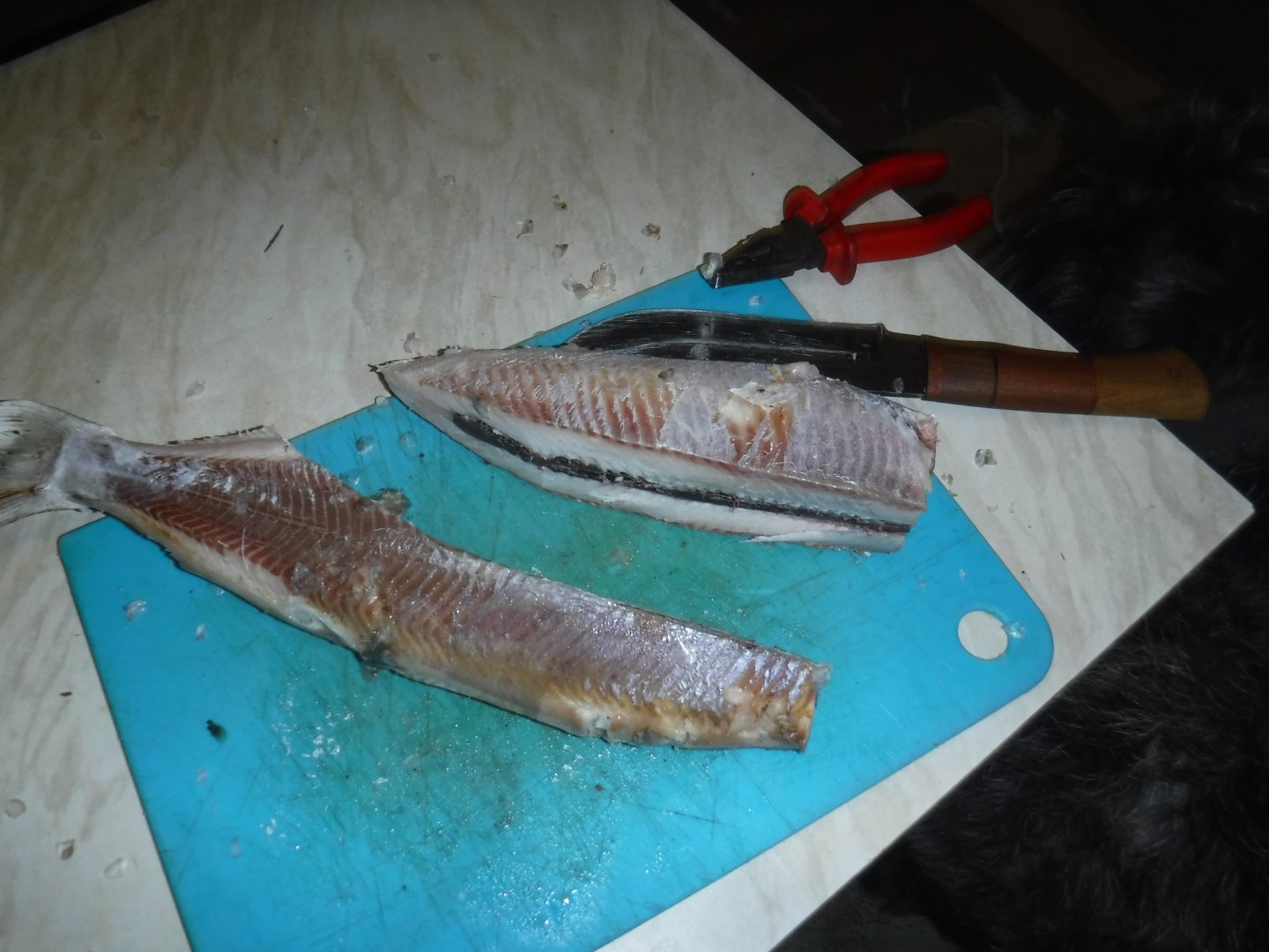 DSCF1090.JPG