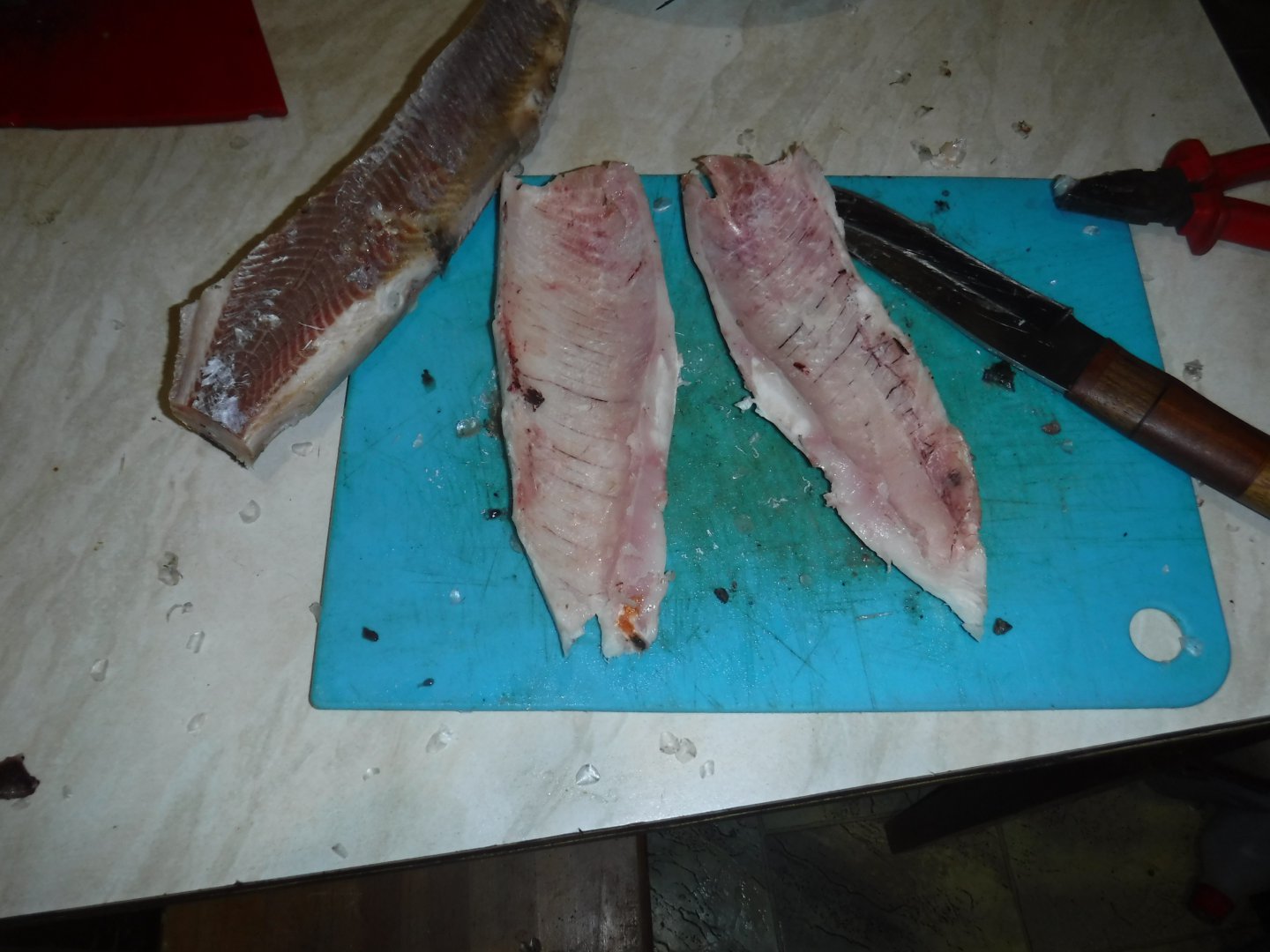 DSCF1091.JPG