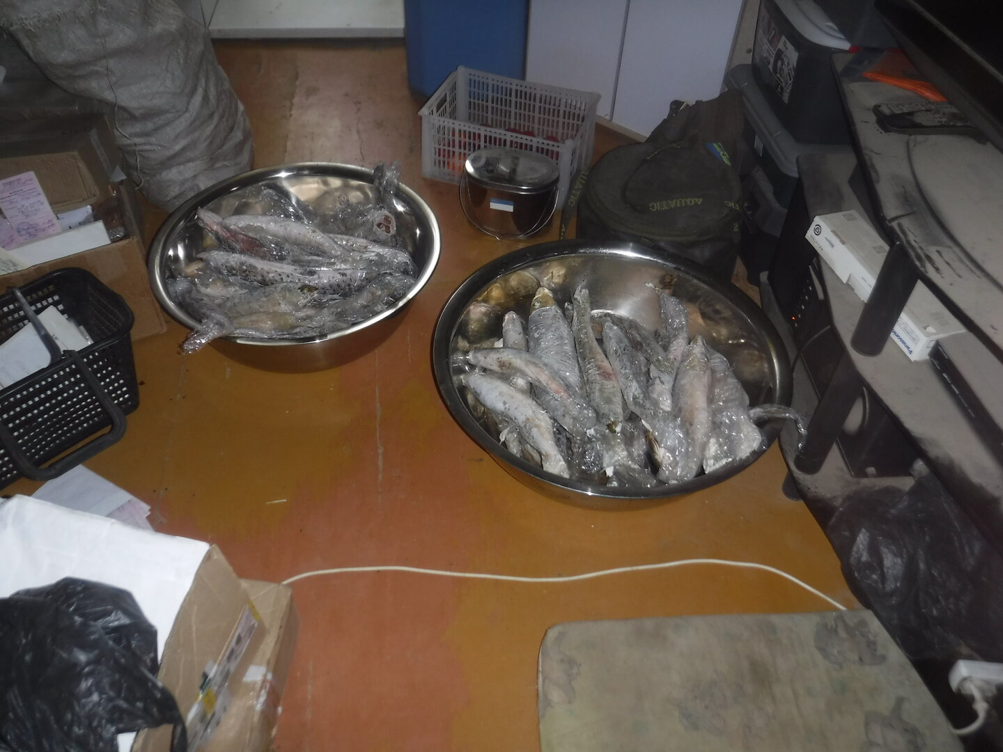 DSCF1102.JPG