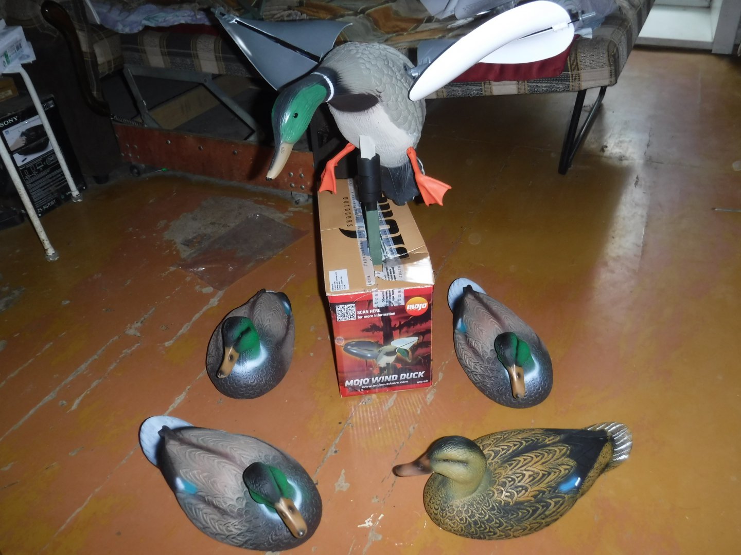 DSCF1150.JPG
