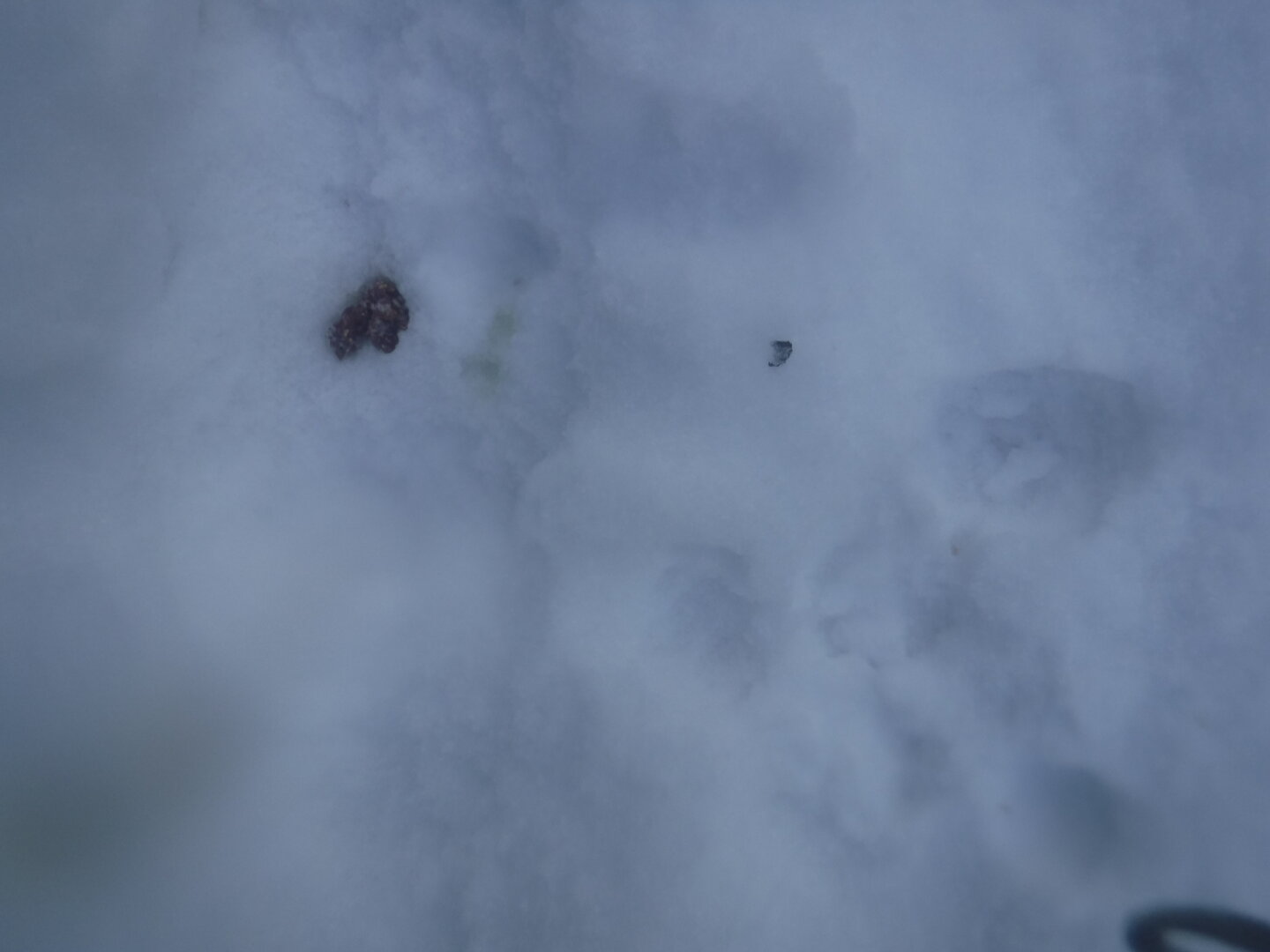 DSCF1157.JPG