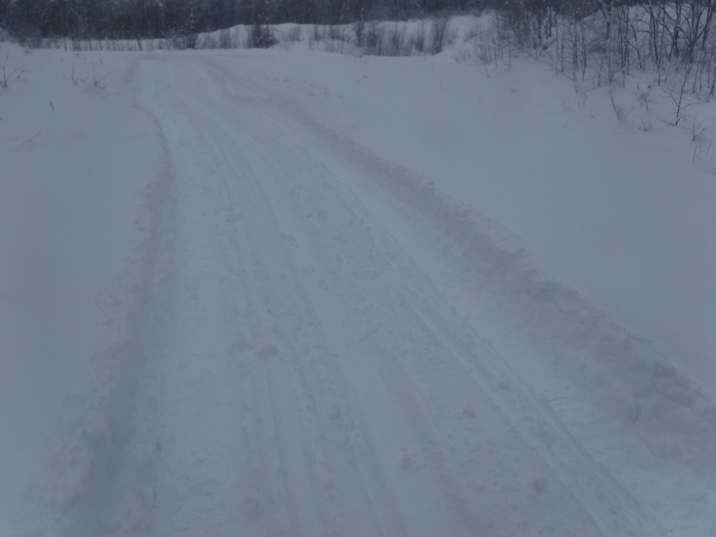 DSCF1159.JPG