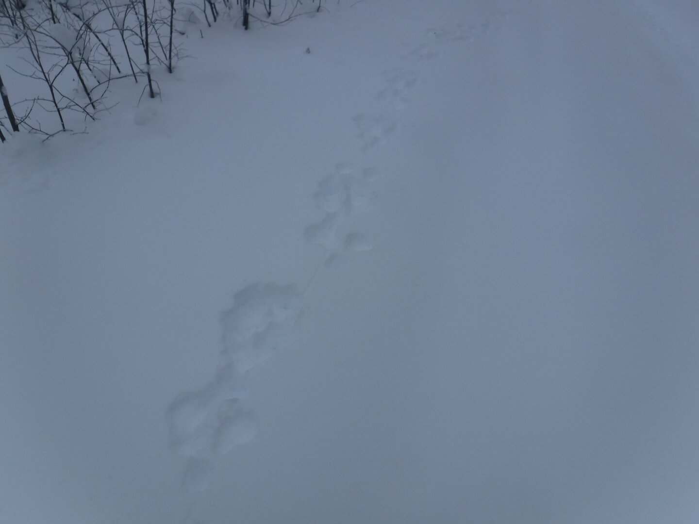 DSCF1160.JPG