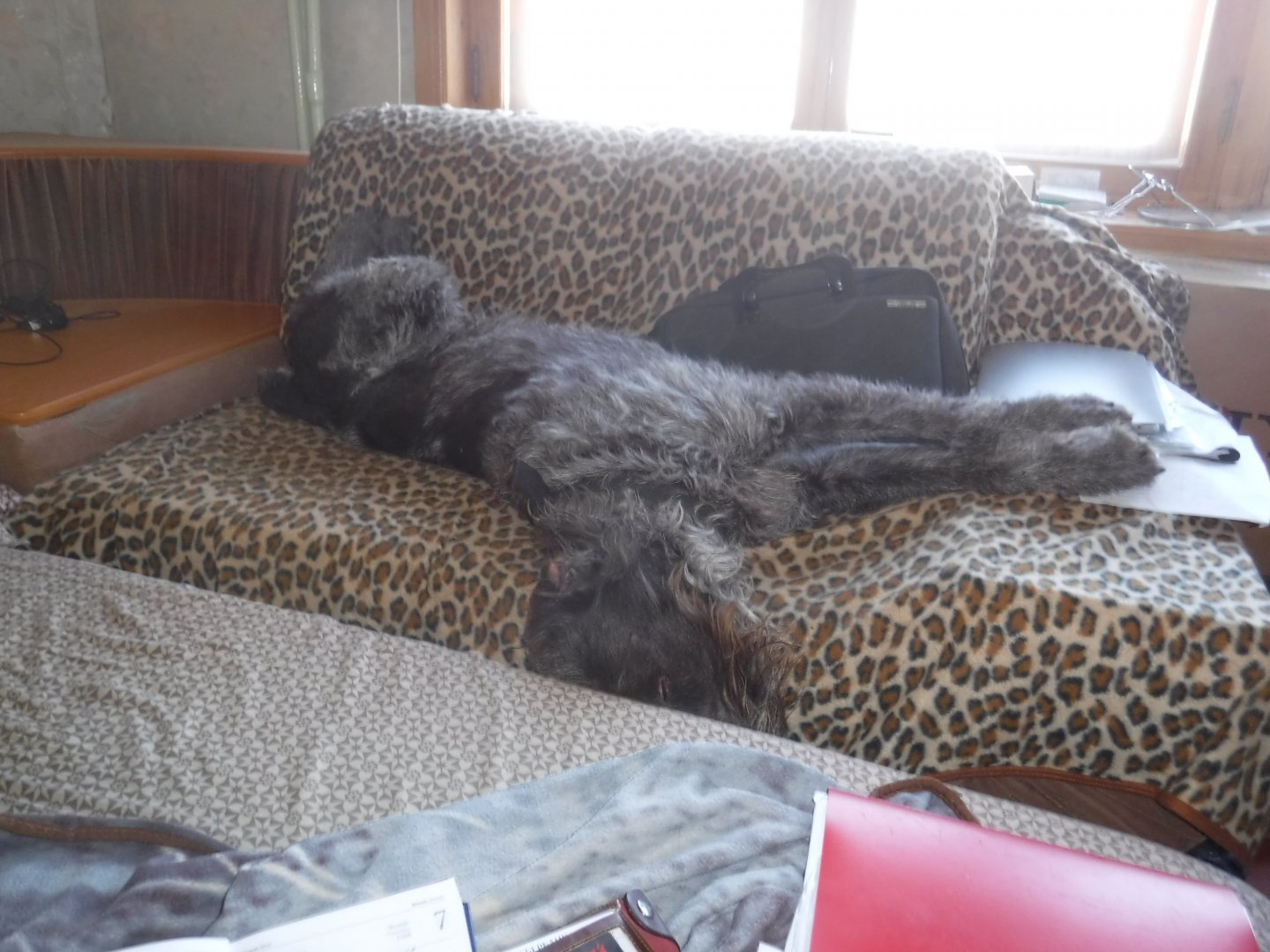 DSCF1161.JPG