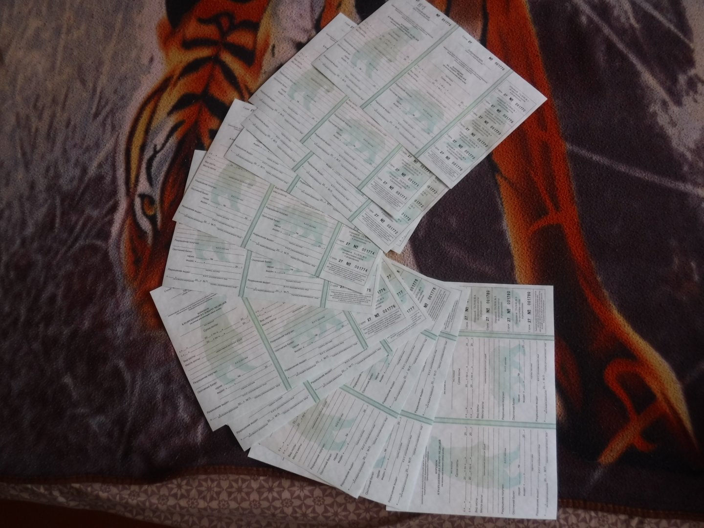 DSCF1164.JPG