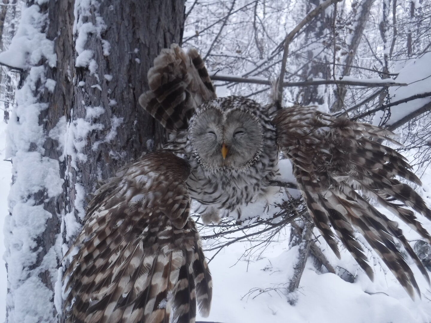 DSCF1165.JPG
