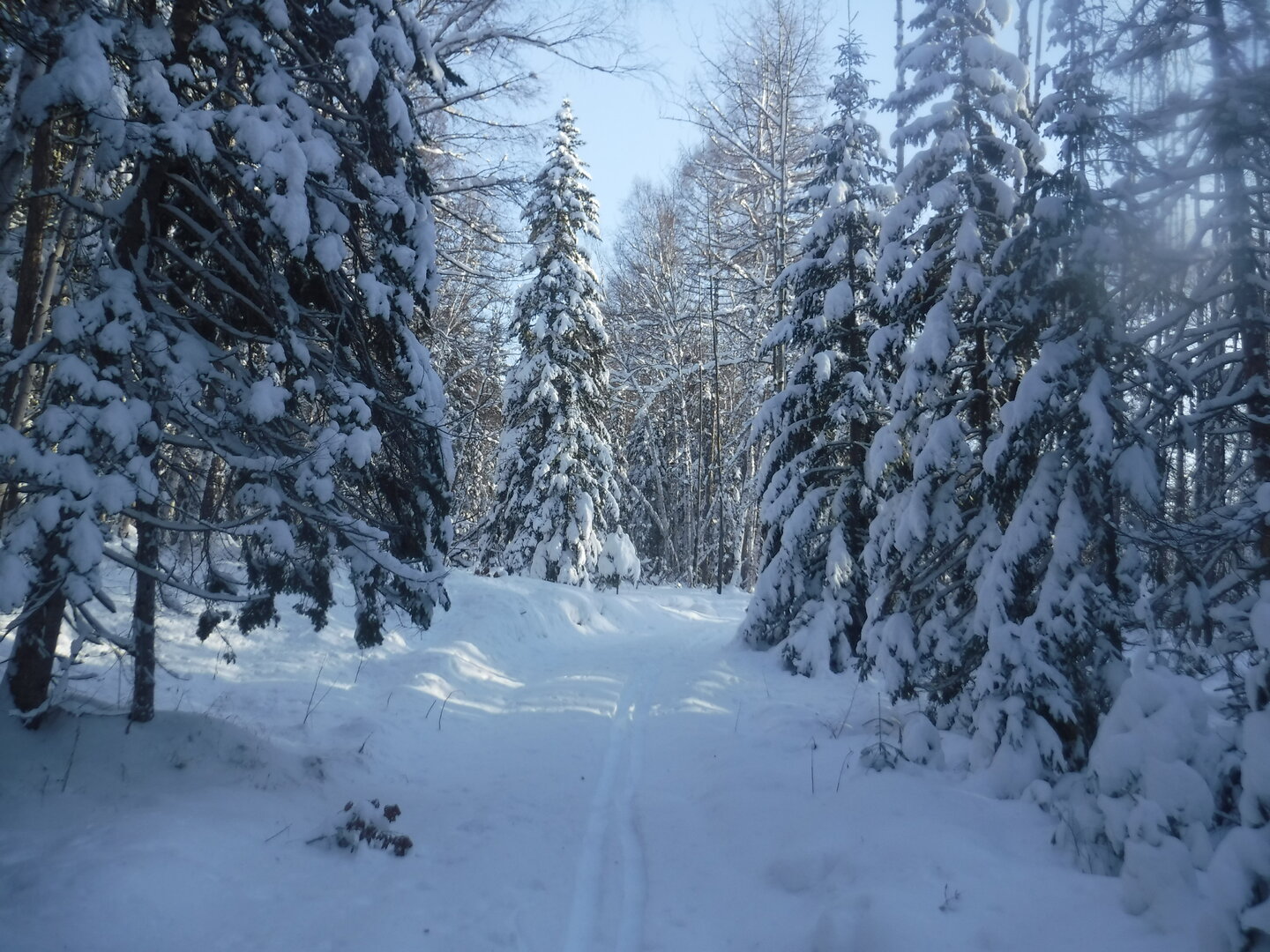 DSCF1168.JPG