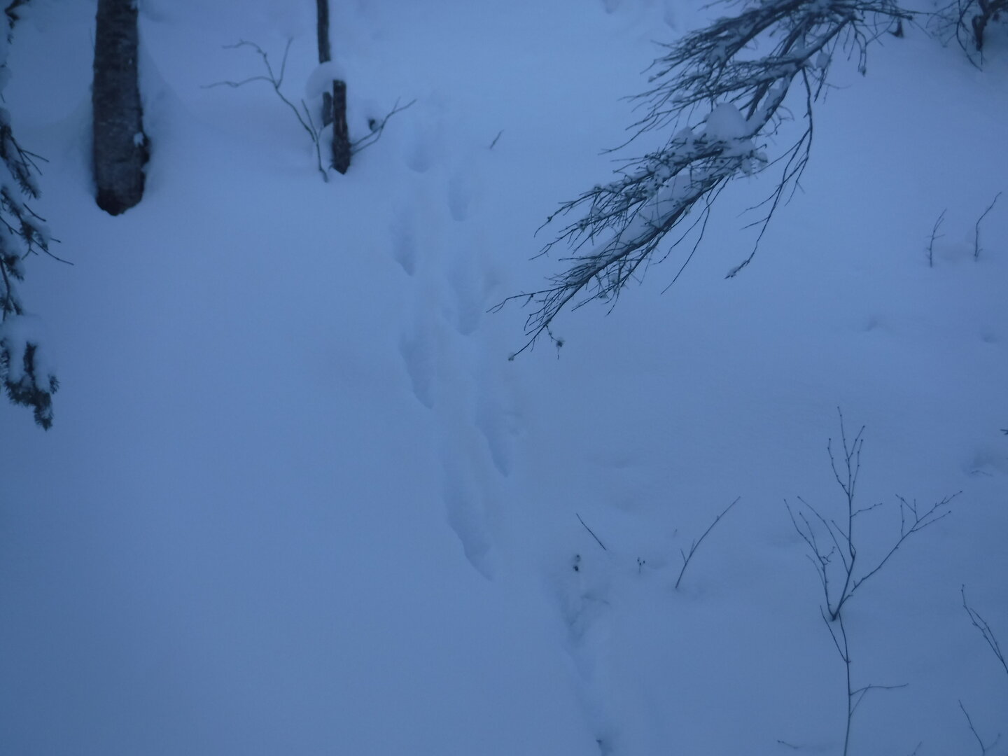 DSCF1172.JPG