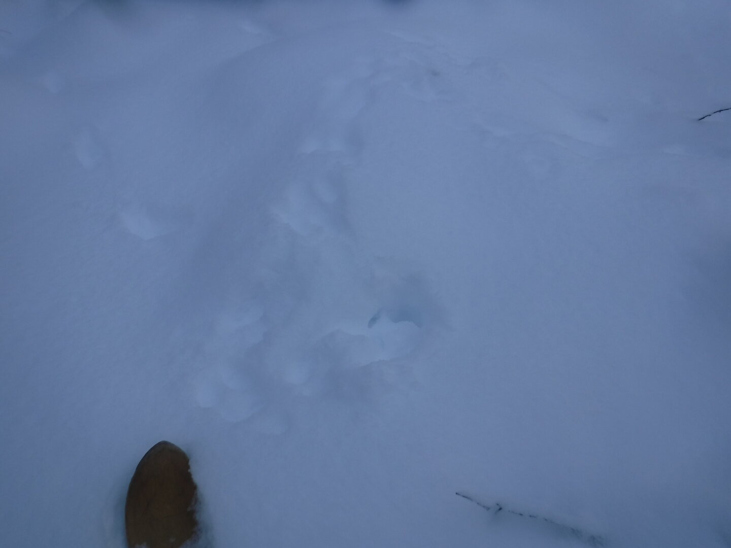 DSCF1174.JPG
