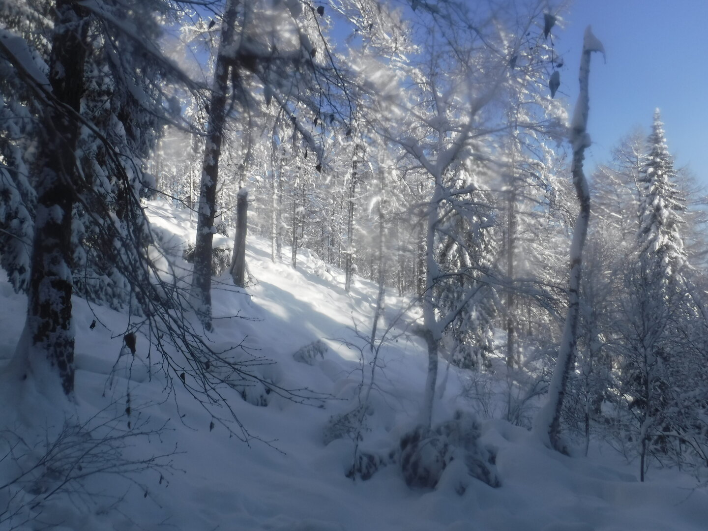 DSCF1176.JPG