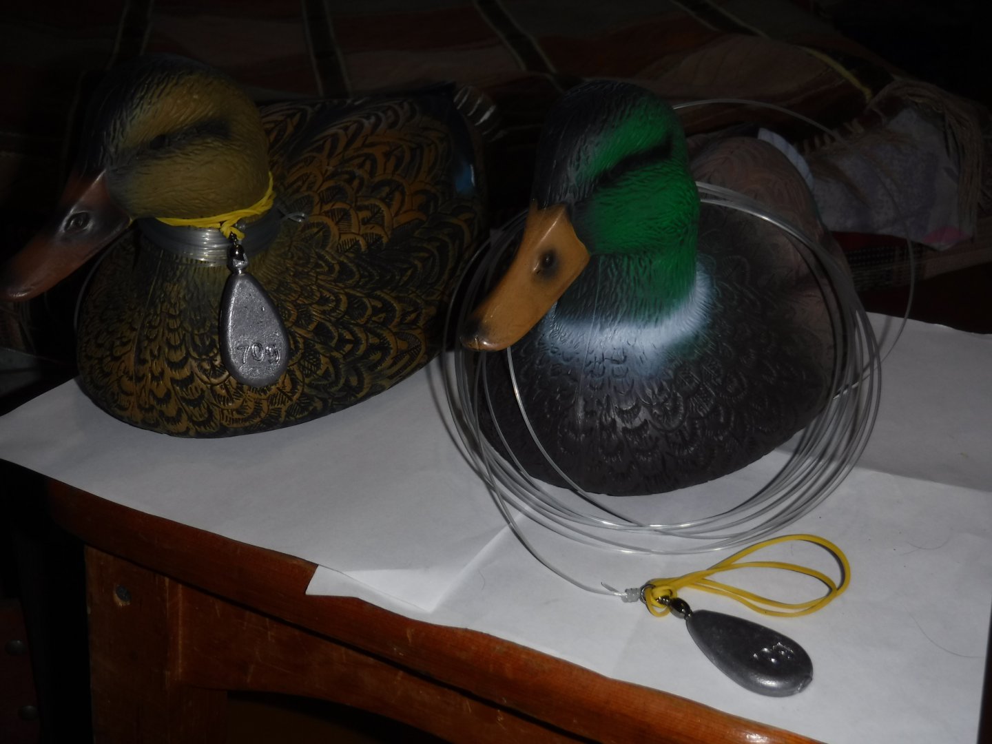 DSCF1181.JPG
