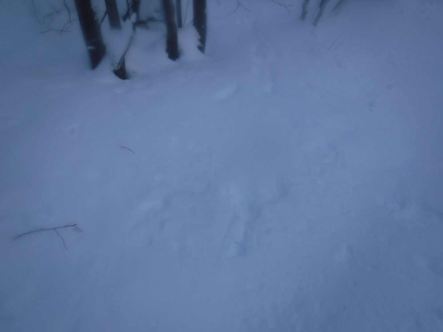 DSCF1181.JPG