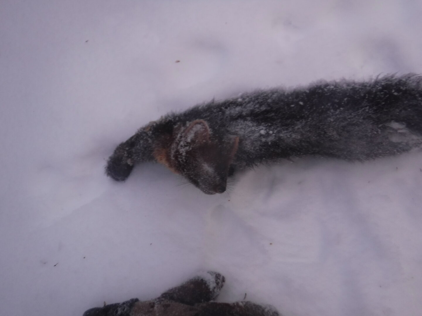 DSCF1182.JPG