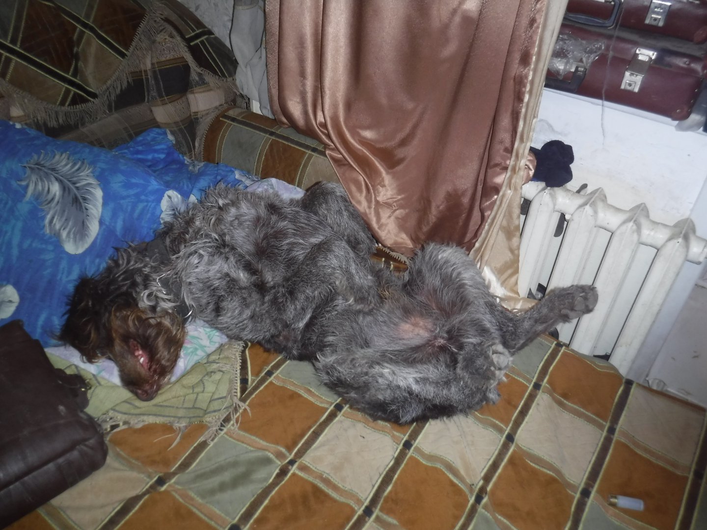 DSCF1185.JPG