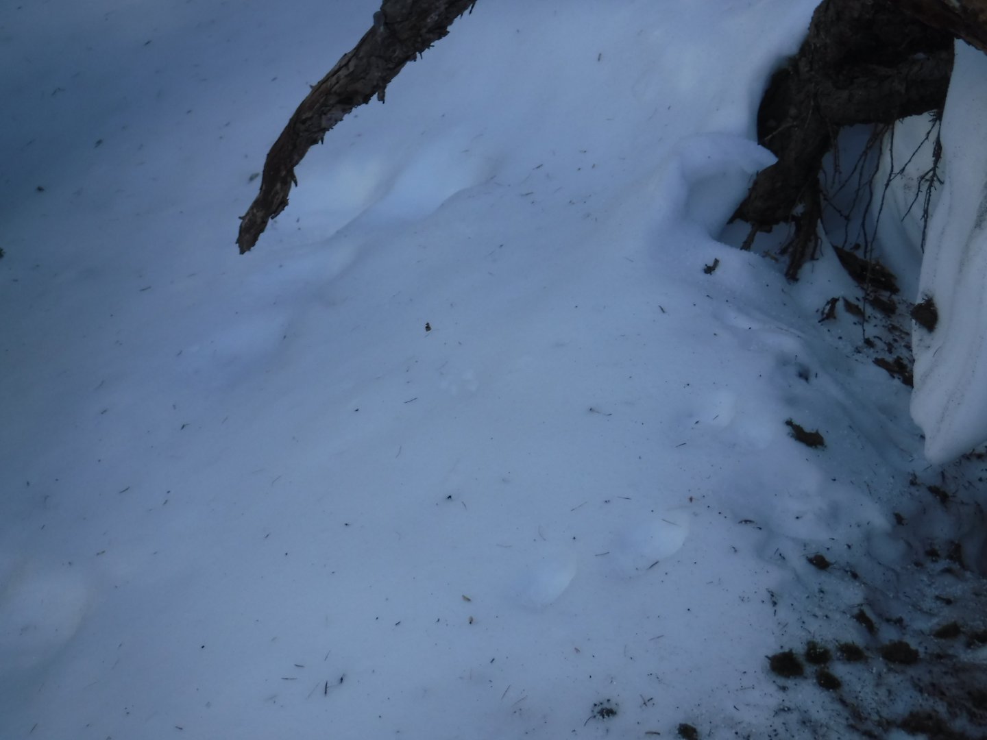 DSCF1192.JPG
